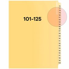 Quest Numerical Litigation Index Dividers 101 to 125