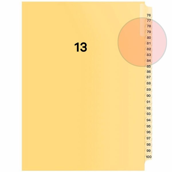 Quest Numerical Litigation Index Dividers 13 to 25 #13