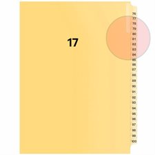 Quest Numerical Litigation Index Dividers 13 to 25 #17