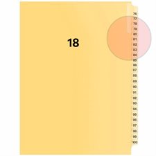 Quest Numerical Litigation Index Dividers 13 to 25 #18