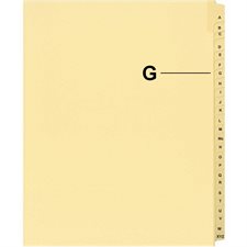 Quest Alphabetical Litigation Index Dividers A to L G