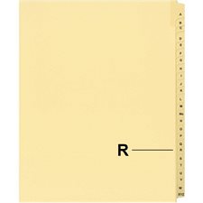 Quest Alphabetical Litigation Index Dividers M to XYZ R