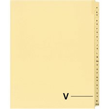 Quest Alphabetical Litigation Index Dividers M to XYZ V