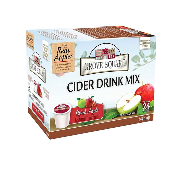 Spiced Apple Cider Drink Mix