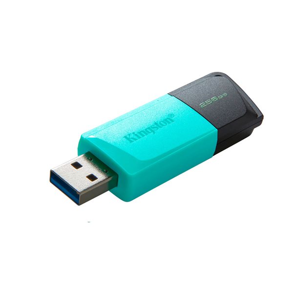 Clé USB DataTraveler Exodia M 256 Go