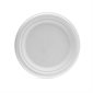 Plant Fiber 10.25 in White Round Plates