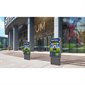 OH55A-S 55-inch Digital Signage Screen