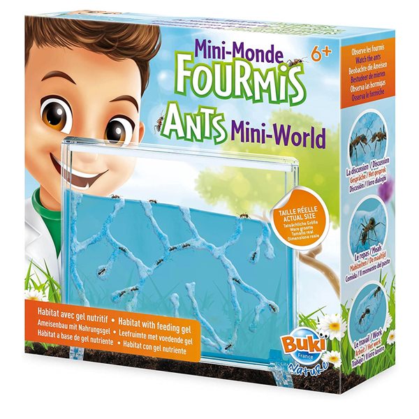 Jeu d’observation Mini-monde des fourmis