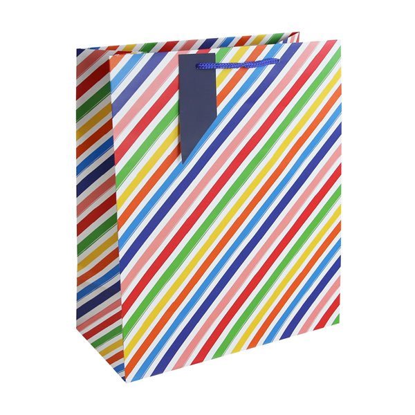 Multicoloured Stripes Gift Bag - Large