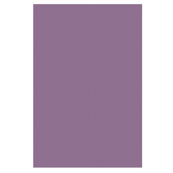 Papier de soie à couleurs solubles Spectra® Deluxe - 20 x 30 po - Violet