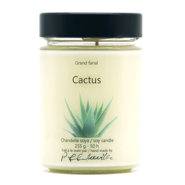 Chandelle de soya parfumée Cactus