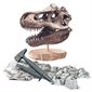 Archéo ludic - Crâne géant T-Rex