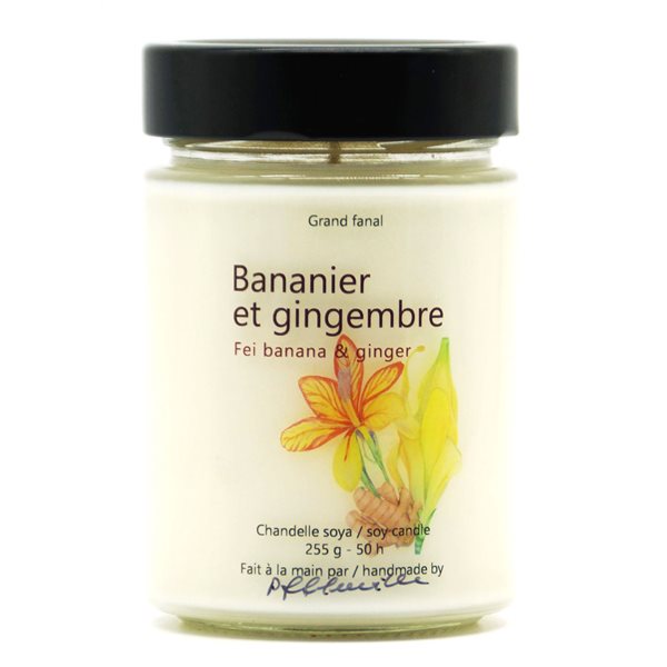 Bougie de soya Bananier et gingembre