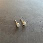 Sweet Love Gold Moissanite Earrings - Small