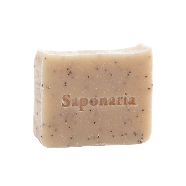 Mint & Lime Exfoliant Soap