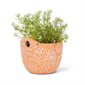 Small Planter with Handles