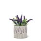 Small Lavender Design Planter