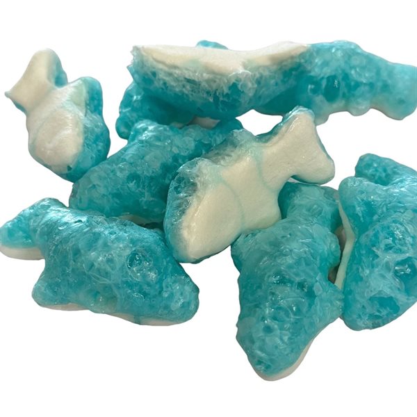 Friandises - requins Lyophilisés