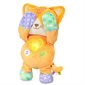Fripon, cache-cache chaton