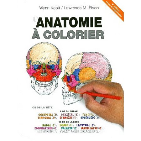 L'anatomie à colorier
