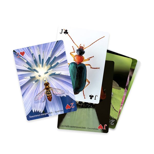 Jeu de cartes à jouer entomologiques