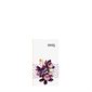 W. Maxwell Mini Weekly Agenda (2025) - Floral