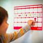 Magnetic Board For Pictograms