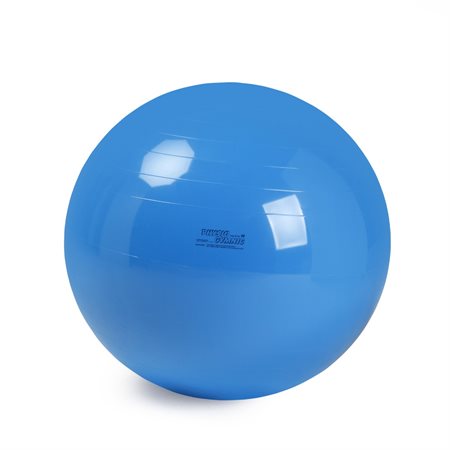 Ballon Physio Gymnic Bleu