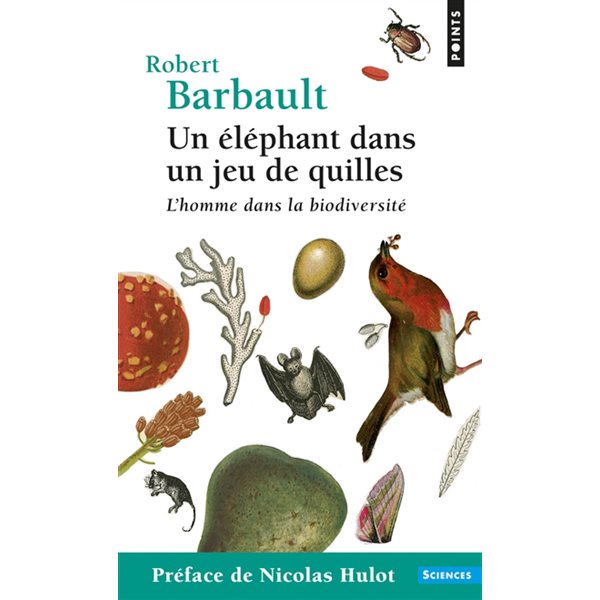 UN ELEPHANT DANS UN JEU DE QUI