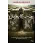 Labyrinthe (le) t.01