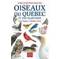 Guide d'identification des oiseaux du québec et des maritimes