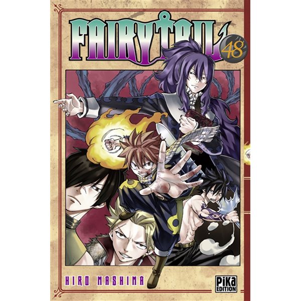 Fairy Tail T.48