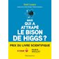 Mais qui a attrapé le bison de Higgs ?