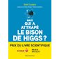 Mais qui a attrapé le bison de Higgs ?