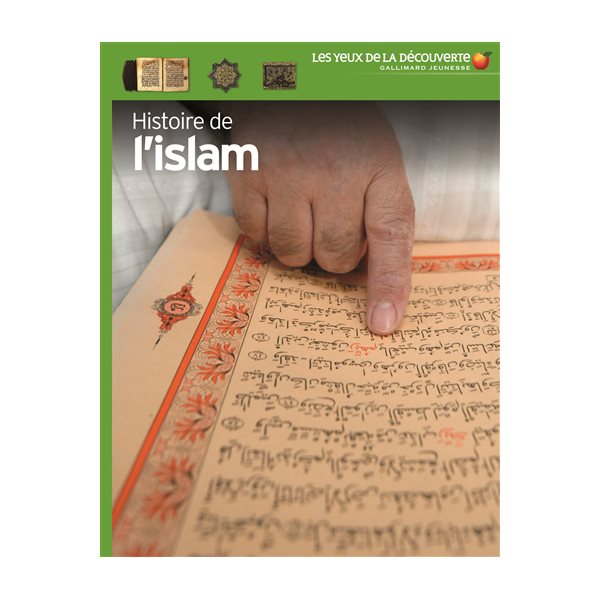 Histoire de l'islam T.24