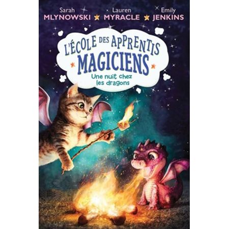 Une nuit chez les dragons, Tome 4, L'école des apprentis magiciens