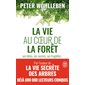 La vie au coeur de la forêt