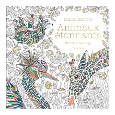 Animaux étonnants : carnet de coloriage