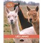 Les lamas