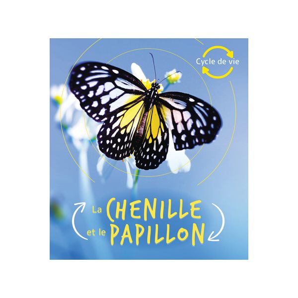 La chenille et le papillon