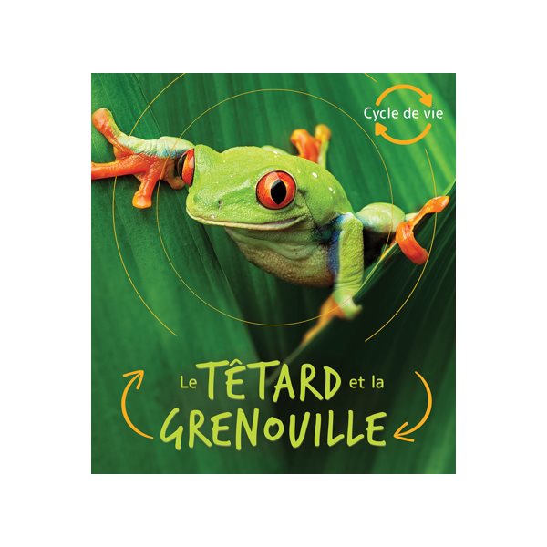 Le têtard et la grenouille