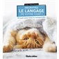 Décryptez le langage de votre chat !