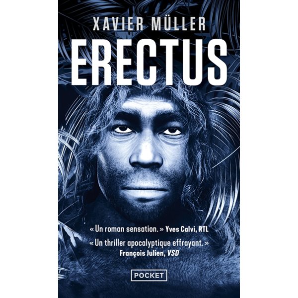 Erectus