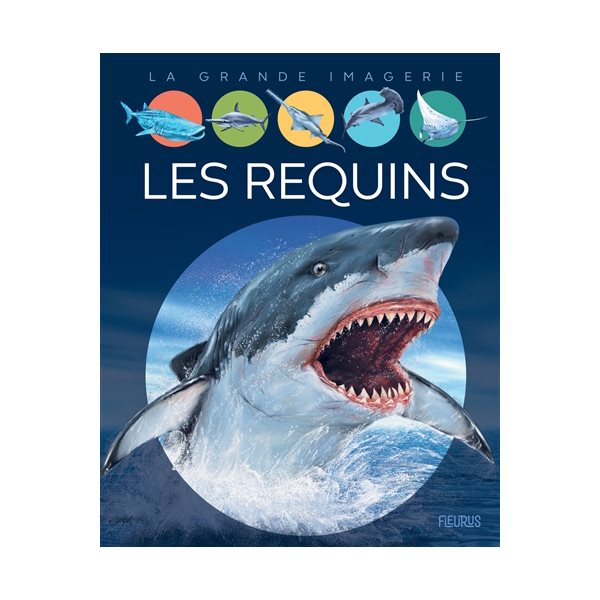 Les requins