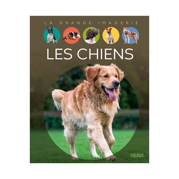 Les chiens