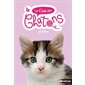 Plume, Tome 4, Le club des chatons