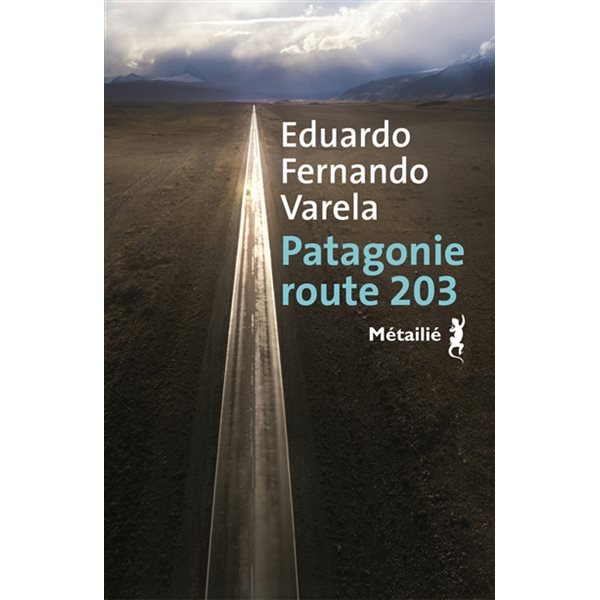 Patagonie route 203