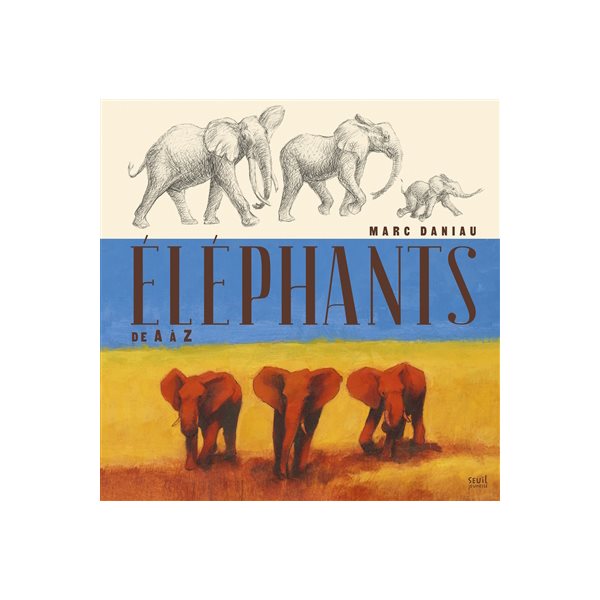 Eléphants