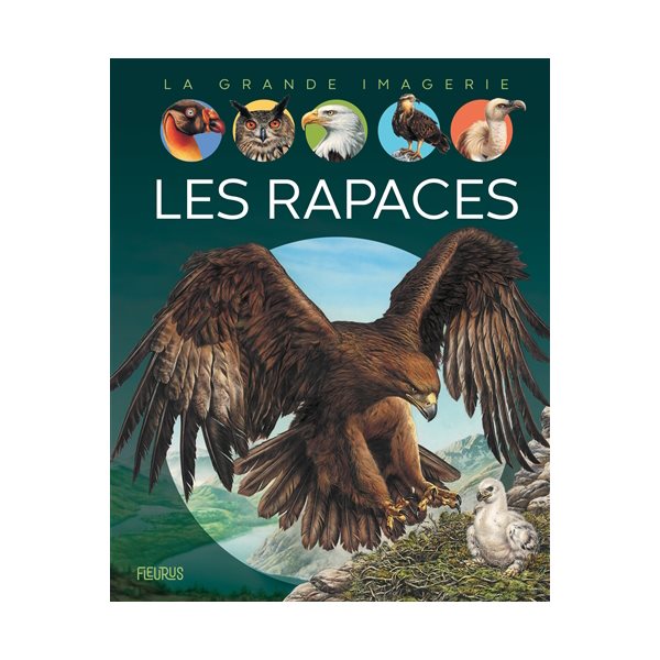 Les rapaces