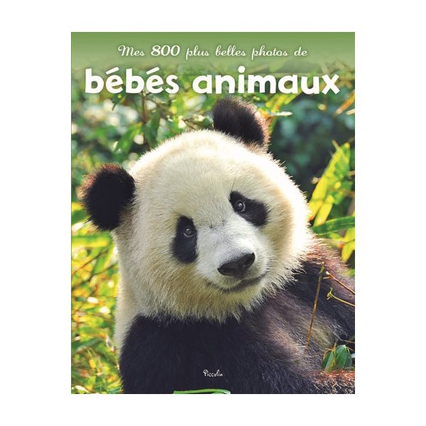 Mes 800 plus belles photos de bébés animaux